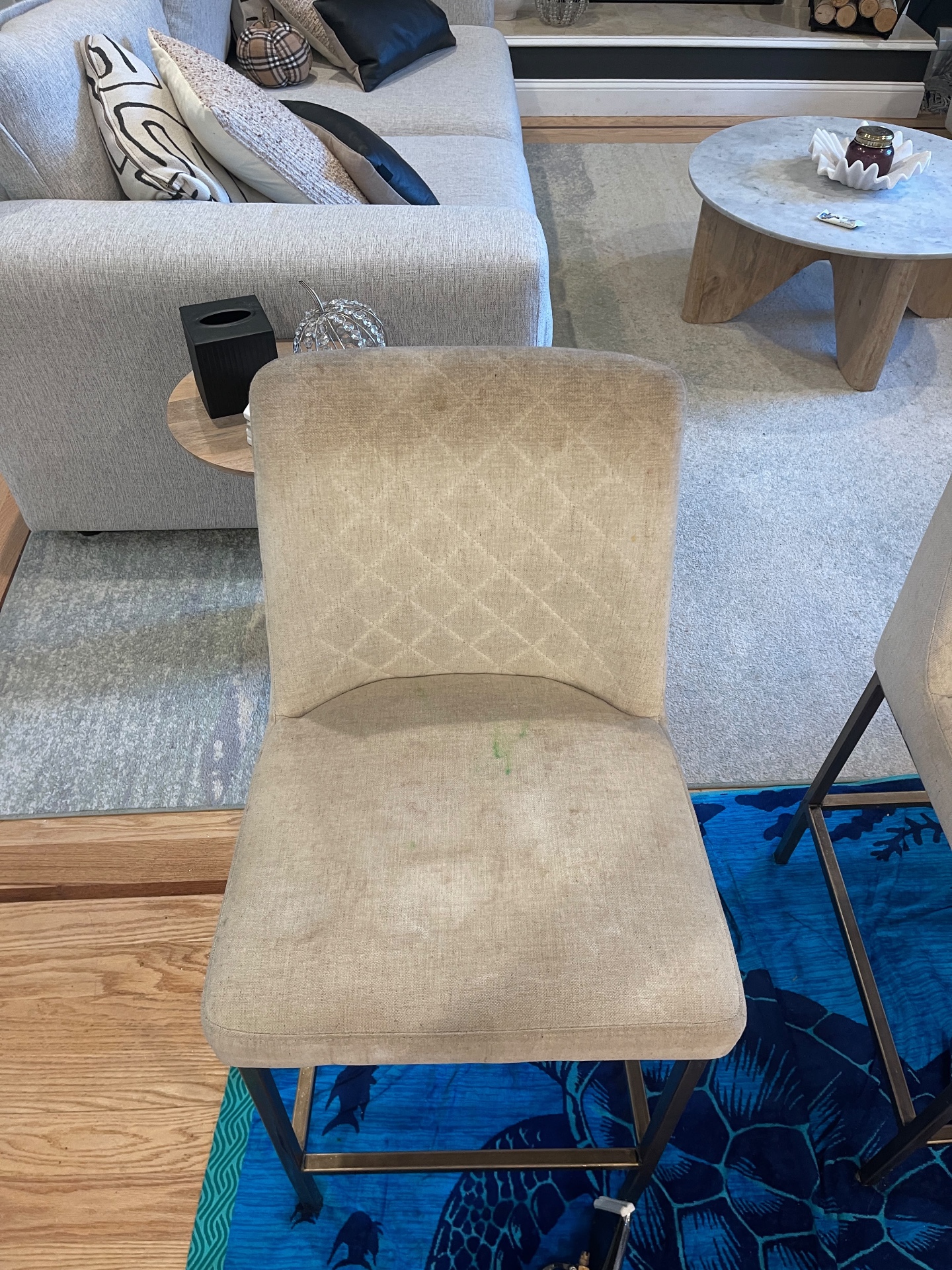 Patterned upholstered dining chair with visible seat discoloration before cleaning