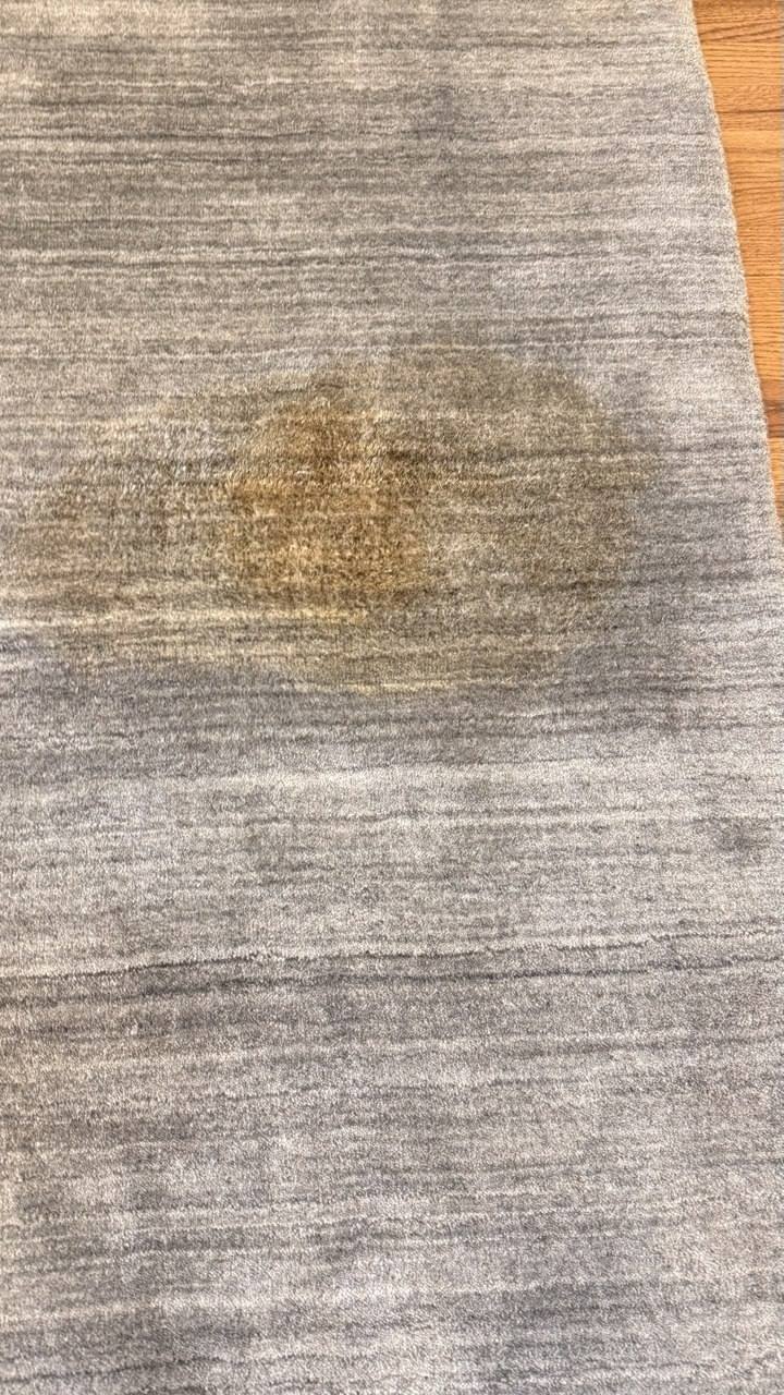 Wool rug with old pet urine stain after failed DIY cleaning attempts, North Jersey