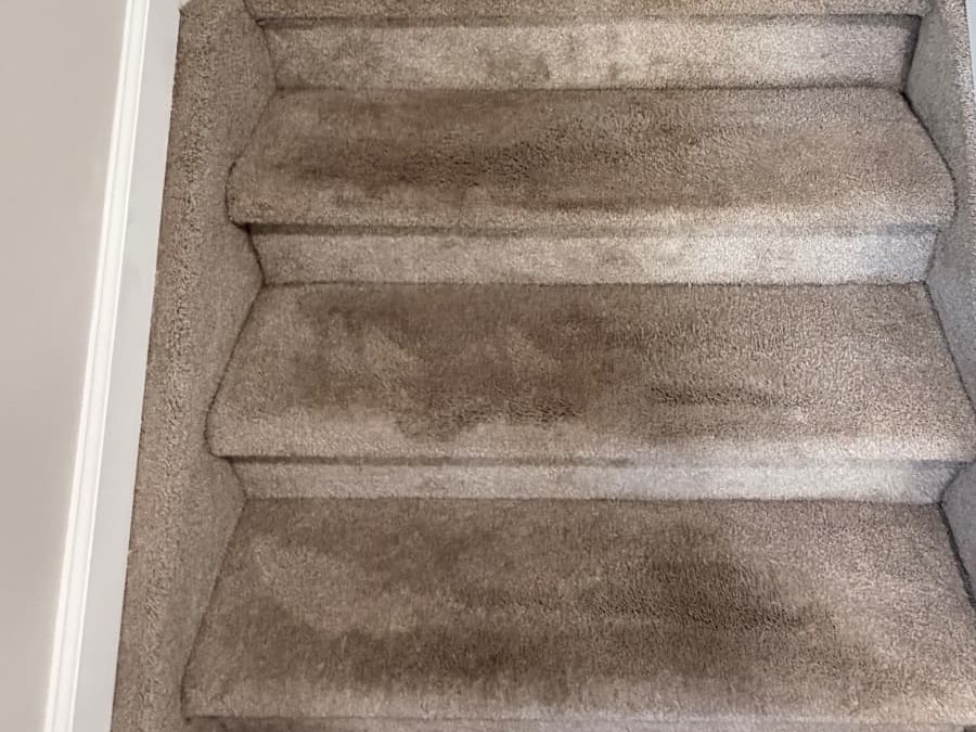 Taupe carpeted staircase with dark traffic lanes worn down the center of every tread before cleaning