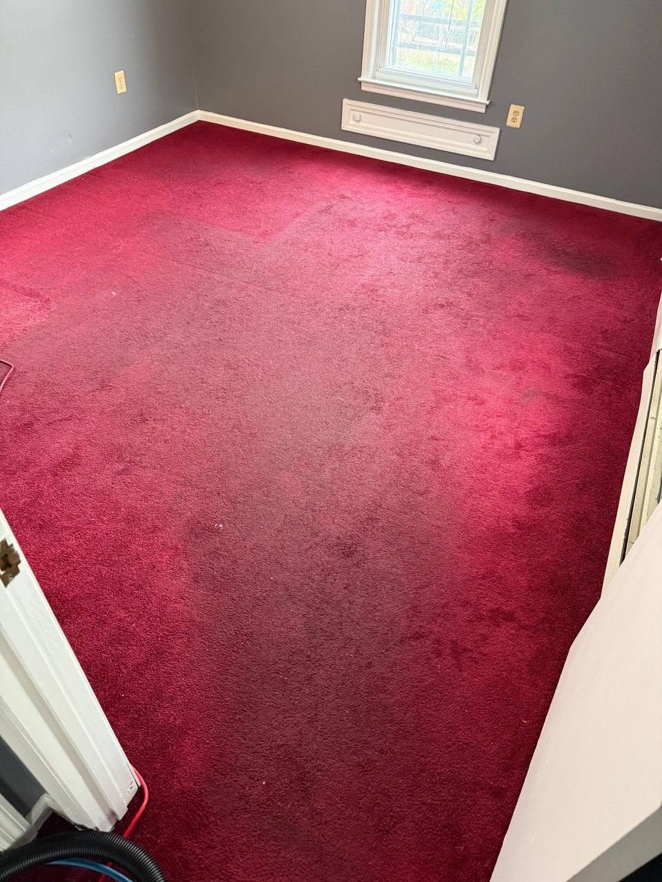 Red carpet with dark traffic lanes and stains before cleaning